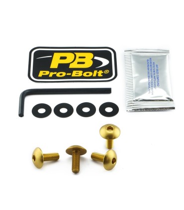 BOLT KIT LIC PLATE M6X16 GOLD