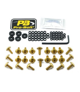 BOLT KT FAIRING KAW GOLD