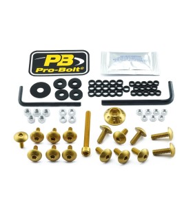 BOLT KT FAIRING SUZ GOLD