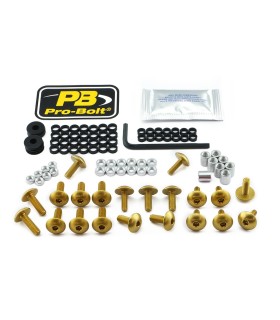 BOLT KT FAIRING SUZ GOLD