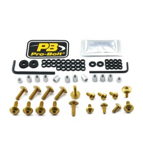 BOLT KT FAIRING SUZ GOLD