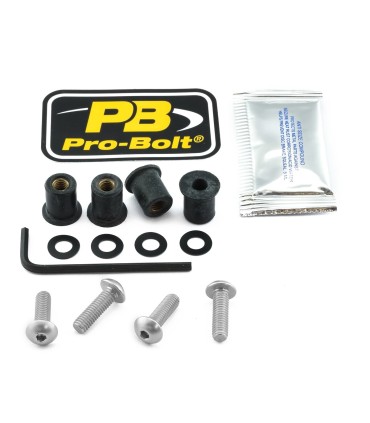 BOLT KIT SCREEN SILVER