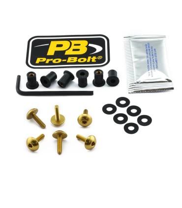 BOLT KIT SCREEN GOLD