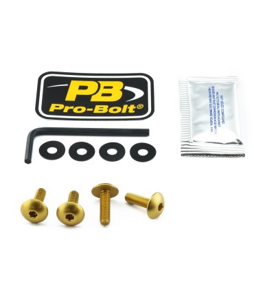BOLT KIT SCREEN GOLD