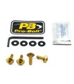 BOLT KIT SCREEN GOLD