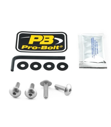 BOLT KIT SCREEN SILVER
