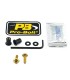 BOLT KIT SCREEN GOLD
