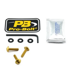 BOLT KIT SCREEN GOLD