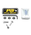BOLT KIT SCREEN SILVER