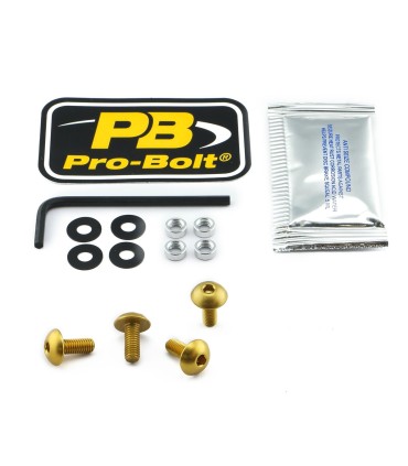 BOLT KIT SCREEN GOLD