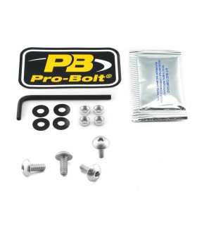 BOLT KIT SCREEN SILVER