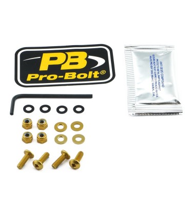 BOLT KIT SCREEN GOLD