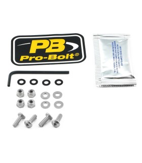 BOLT KIT SCREEN SILVER