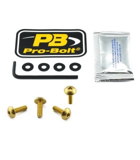BOLT KIT SCREEN GOLD