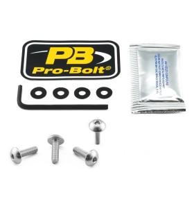 BOLT KIT SCREEN SILVER
