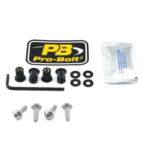 BOLT KIT SCREEN SILVER