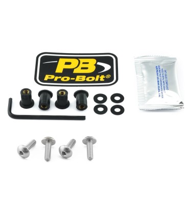 BOLT KIT SCREEN SILVER