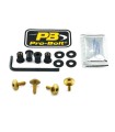 BOLT KIT SCREEN GOLD