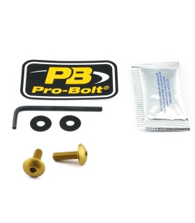 BOLT KIT SCREEN GOLD