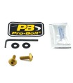BOLT KIT SCREEN GOLD