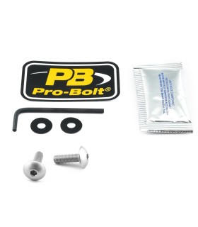 BOLT KIT SCREEN SILVER