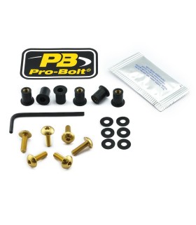 BOLT KIT SCREEN GOLD