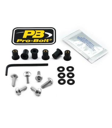 BOLT KIT SCREEN SILVER