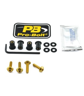 BOLT KIT SCREEN GOLD
