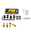 BOLT KIT SCREEN GOLD