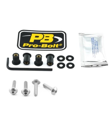 BOLT KIT SCREEN SILVER