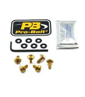 BOLT KIT SCREEN GOLD