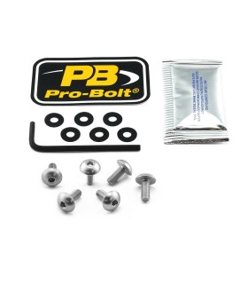 BOLT KIT SCREEN SILVER