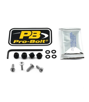 BOLT KIT SCREEN SILVER