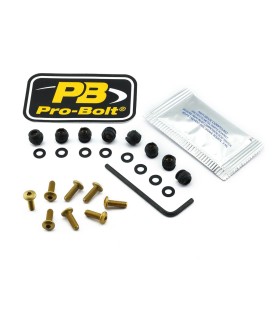 BOLT KIT SCREEN GOLD