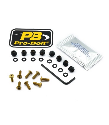 BOLT KIT SCREEN GOLD