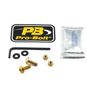 BOLT KIT SCREEN GOLD