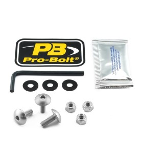 BOLT KIT SCREEN SILVER