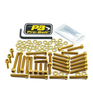 BOLT KT ENGINE BMW GOLD