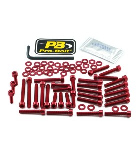 BOLT KT ENGINE BMW RED