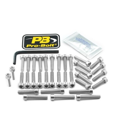 BOLT KT ENGINE HON SILVER