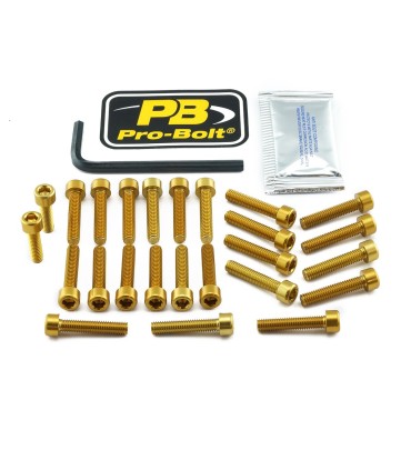 BOLT KT ENGINE HON GOLD