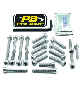BOLT KT ENGINE HON SILVER