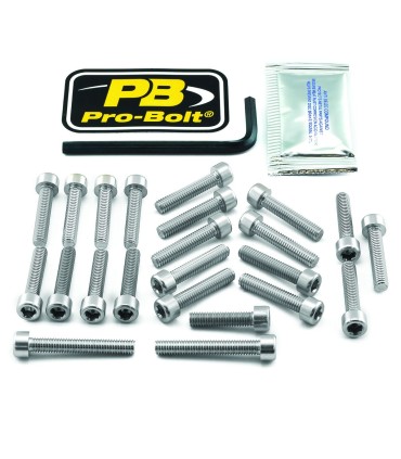 BOLT KT ENGINE HON SILVER