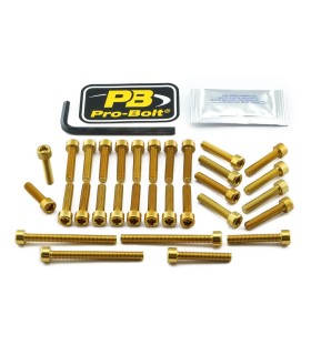 BOLT KT ENGINE KAW GOLD