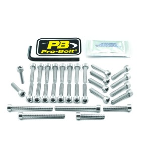 BOLT KT ENGINE KAW SILVER