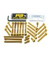 BOLT KT MOTEUR SANS SOUDURE OR