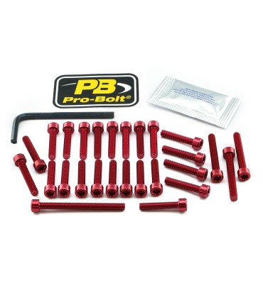 BOLT KT ENGINE SUZ RED