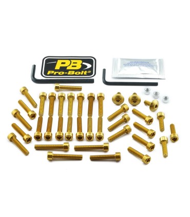 BOLT KT ENGINE SUZ GOLD