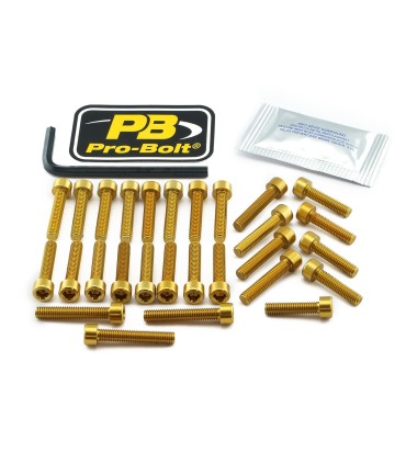 BOLT KT ENGINE SUZ GOLD