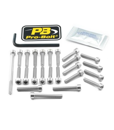 BOLT KT ENGINE SUZ SILVER